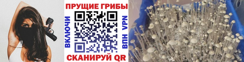 Галлюциногенные грибы мухоморы  купить закладку  Кыштым 